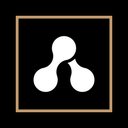 Brand Revolution company logo