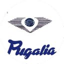 pugalia woollen mills company logo