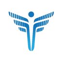FEI Systems company logo