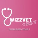 Wizzvet company logo
