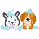 Wet Paws Mobile Pet Grooming company logo