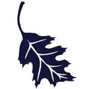 EMBOSSED GRAPHICS company logo