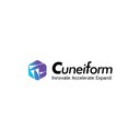 Cuneiform Consulting company logo