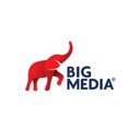 Big Media Group company logo