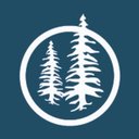 Blue Pine Enterprises Ltd. company logo