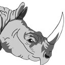Rhino Industrial Installations Inc. company logo