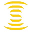 Nijhuis Saur Industries company logo