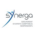 Synerga company logo