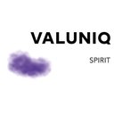 Valuniq Spirit GmbH company logo