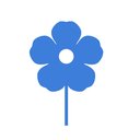 Anchusa Care company logo