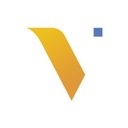 Visual data media services company logo
