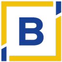 Boston Government Services, LLC company logo