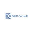 BRIX Consult GmbH company logo