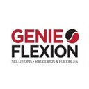 Genie Flexion company logo