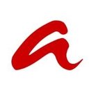 acterience management partners GmbH &amp; Co. KG company logo