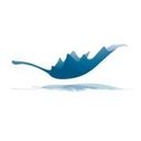 Maplesoft company logo