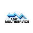 MultiService company logo