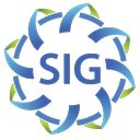 De SIG company logo