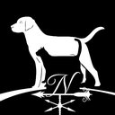 North Airline Animal Hospital company logo