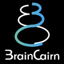 BRAINCAIRN company logo