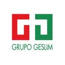 GRUPO GESLIM company logo