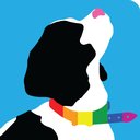 Windy City Paws company logo