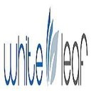 The Whiteleaf Immigration company logo