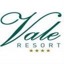 The Vale Resort company logo