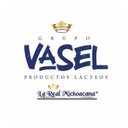 GRUPO VASEL company logo