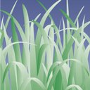 Dixons Landscapes Limited company logo
