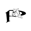 Platinum Fundraising company logo