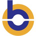 Bluepeak company logo