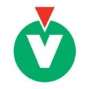 Vygon company logo