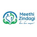 Meethi Zindagi USA company logo