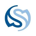 Schiffini GmbH & Co. KG company logo