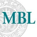 Marine Biological Laboratory company logo