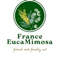 FranceEucaMimosa company logo