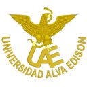 universidad alva edison company logo