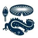 The Newt in Somerset company logo