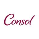 Consol company logo
