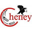 Cheney Government company logo