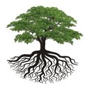 Century Park Associates company logo