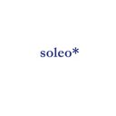 soleo* GmbH company logo
