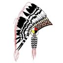 Assembly of Manitoba Chiefs company logo