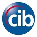 Citizens Independent Bank company logo