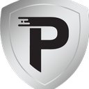 Performance Painting company logo