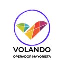 Volando SA de CV company logo
