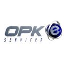 OPK e Services Pvt. Ltd. company logo