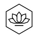 Spa Haus Nashville company logo