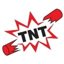 TNT Services company logo